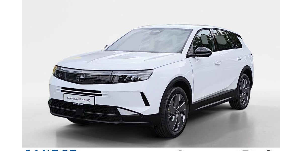 Opel Grandland (X) 2.578 km 29.880 &euro; Schweinfurt 97424