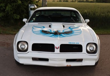 Pontiac Firebird 86.373 km 99.999 &euro; Bergtheim 97241