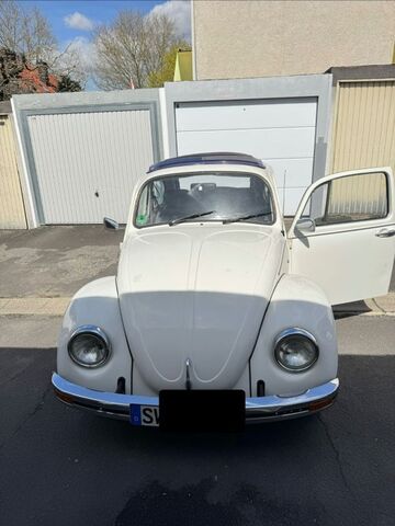 Gebrauchte VW Käfer