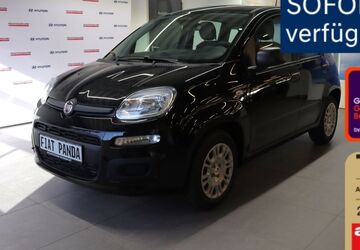 Fiat Panda 2.000 km 16.550 &euro; Schweinfurt 97424